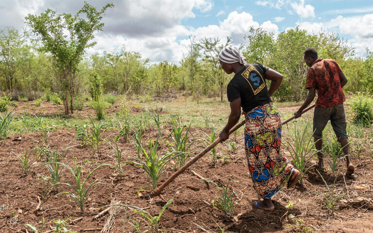 Supporting Farmers for Better Livelihoods